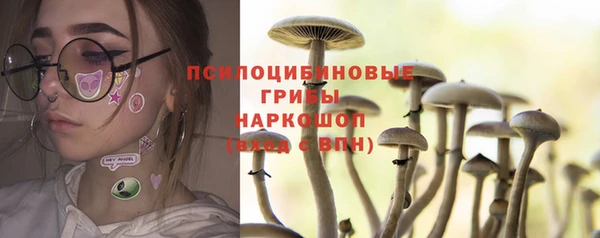дживик Богородск