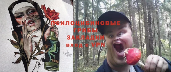ПСИЛОЦИБИНОВЫЕ ГРИБЫ Богородицк