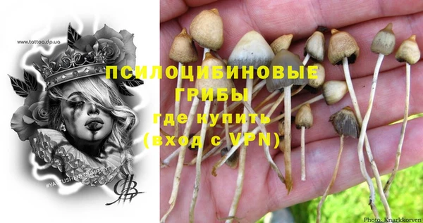 наркотики Богданович