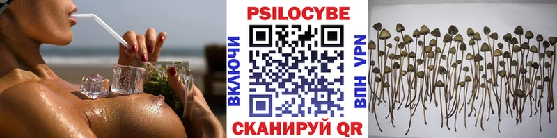 Псилоцибиновые грибы MAGIC MUSHROOMS Дигора